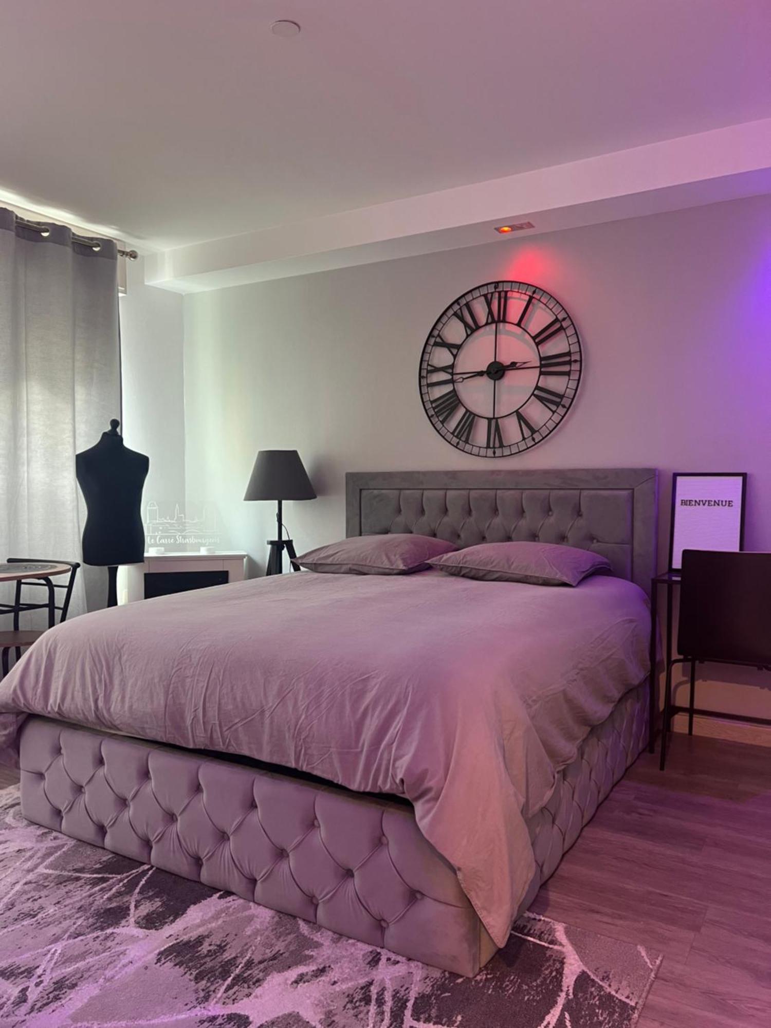 Le Carre Strasbourgeois - Logement Entier Au Centre Du Neudorf F1 Dış mekan fotoğraf